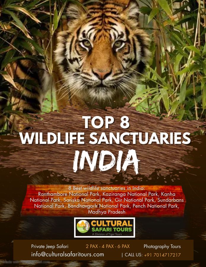 Top 8 Wildlife Sanctuaries in India for Wildlife Photography