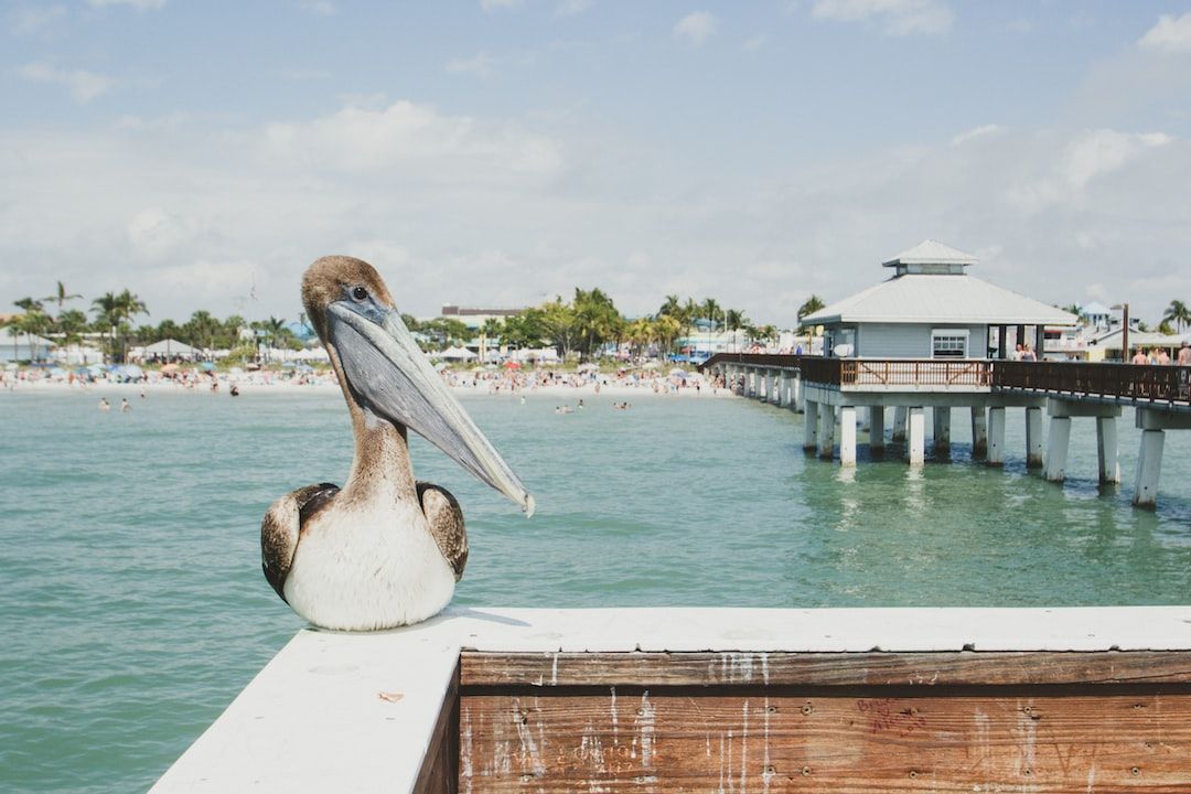 Photo by Taryn Manning on Unsplash