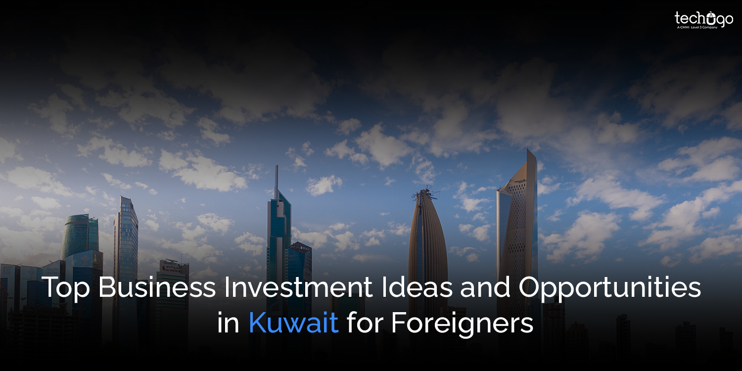 Top Business Investment Ideas and Opportunities in Kuwait