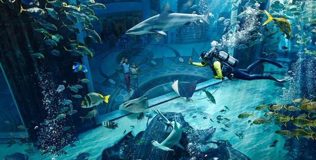 Underwater Enchantment at Atlantis, The Palm