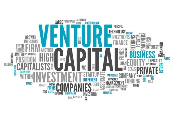 Venture Capital Africa Aims to Help Your Company G