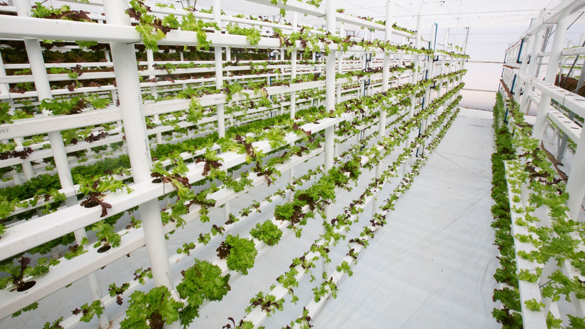 Vertical Farming Market Global Opportunity Analysis , 2022 - 2030