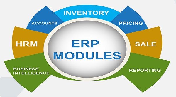 Vietnam Enterprise Resource Planning (Erp) Market Growth Forecast