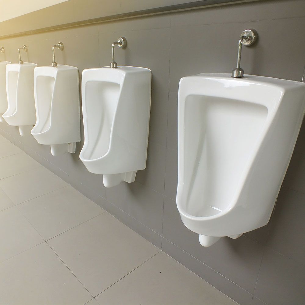 WaterFree Urinal Market Size, Share, Regional Overview 20222028