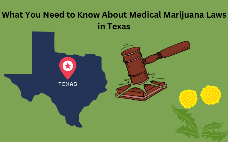 Texas Marijuana Laws Essential Guide to Compliance and Access