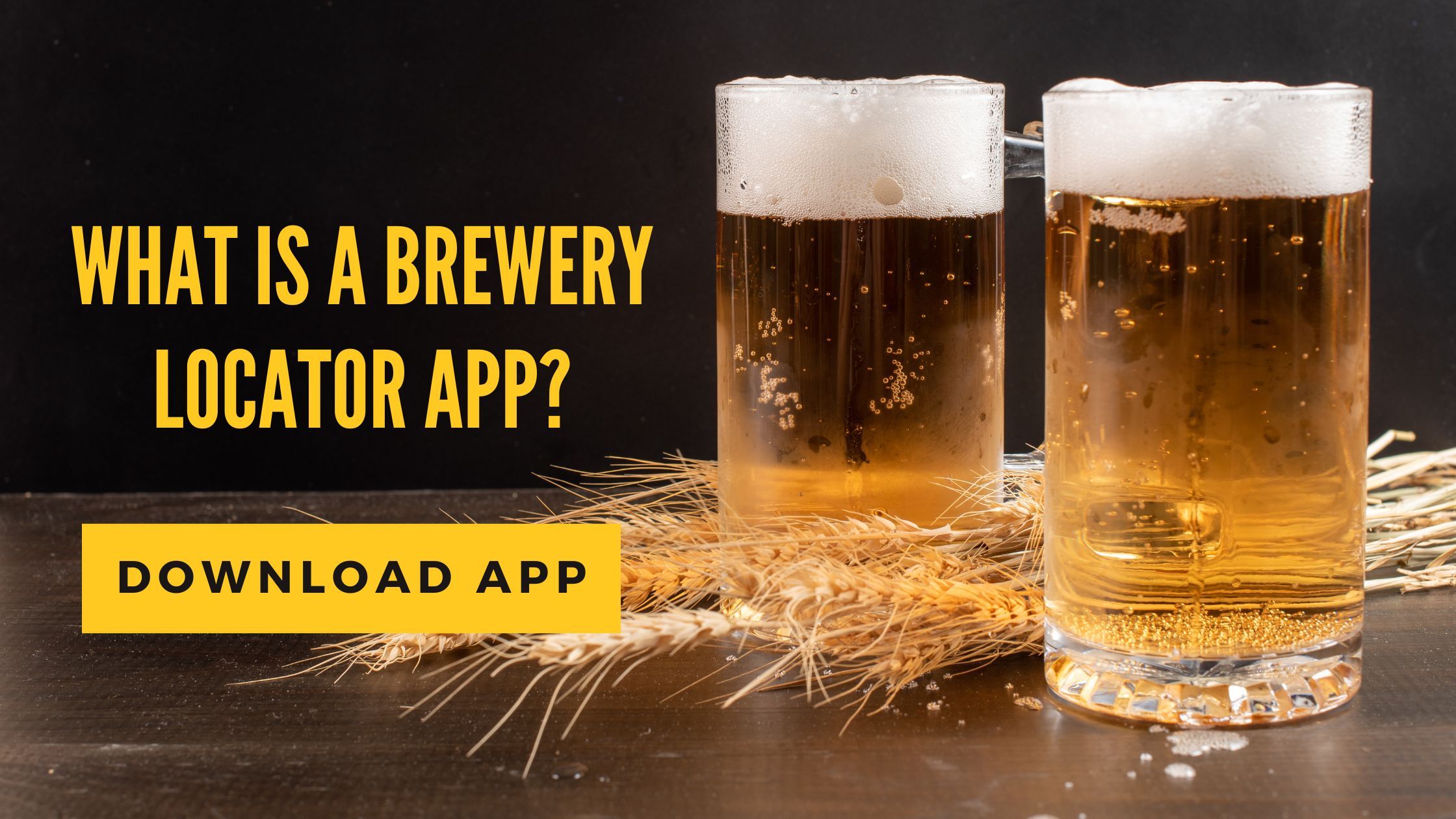 What Is a Brewery Locator App?