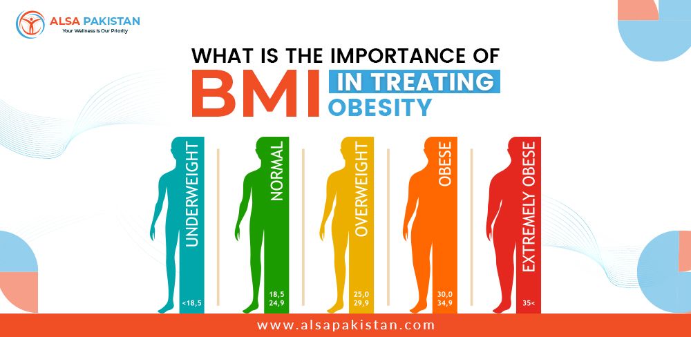 What Is Bmi Chart/scale?