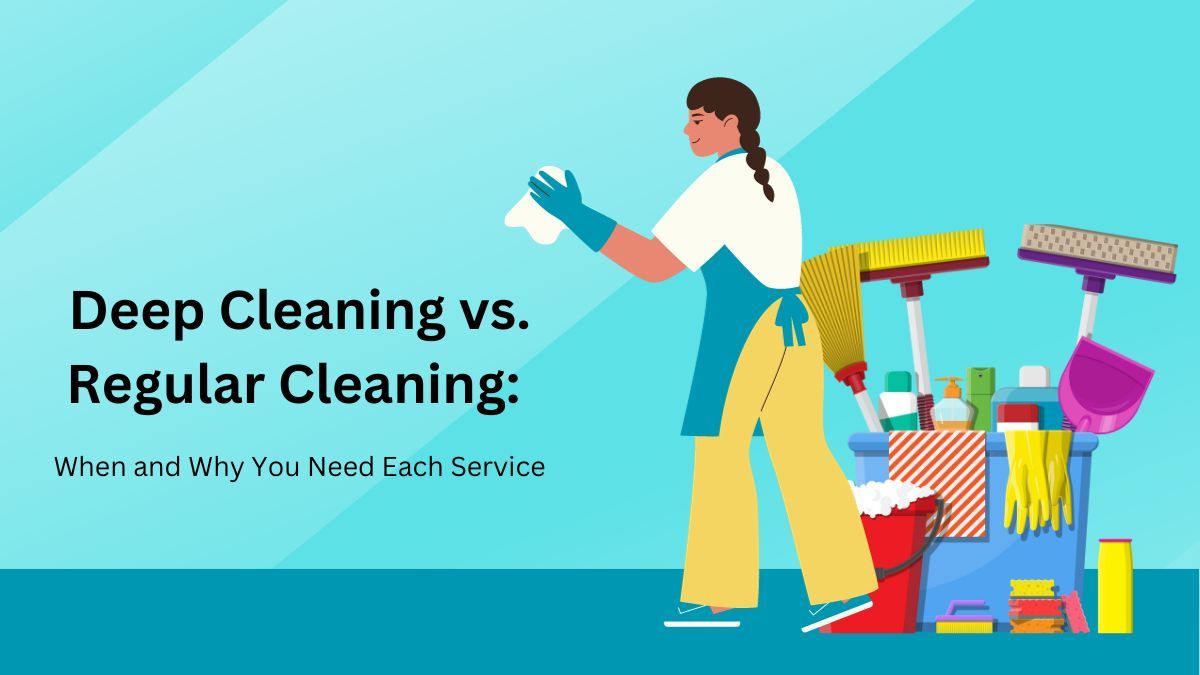 Deep Cleaning & Regular Cleaning When and Why You Need Service