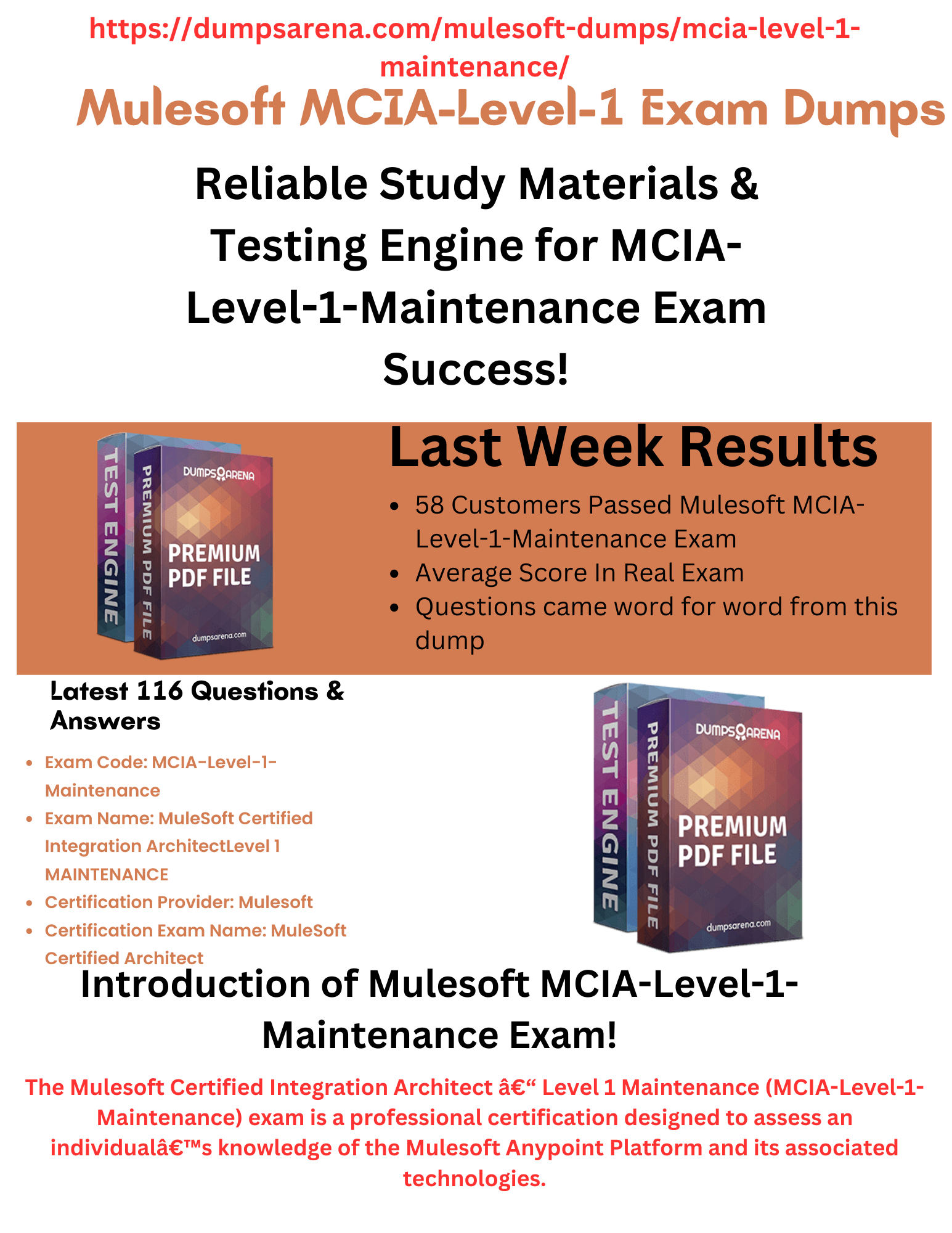 MCIA-Level-1-Maintenance Zertifikatsdemo