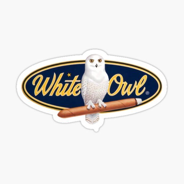 White Owl Symbolism Across Cultures Myths and Folklore Unveiled