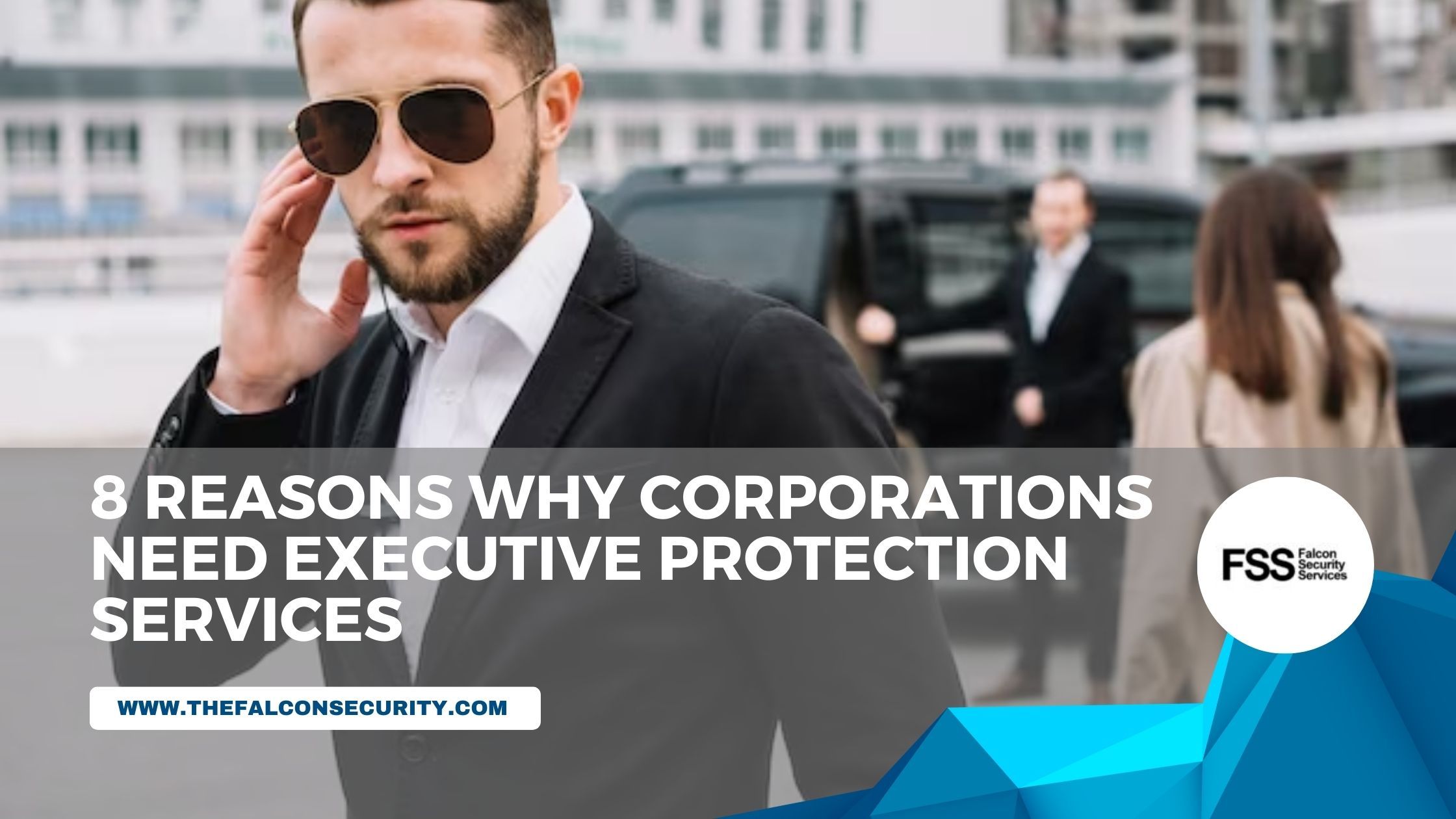 Executive Protection Services