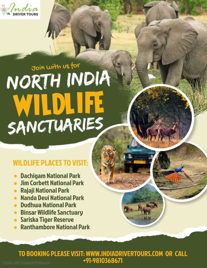 Top 8 Famous North India Wildlife Sanctuaries