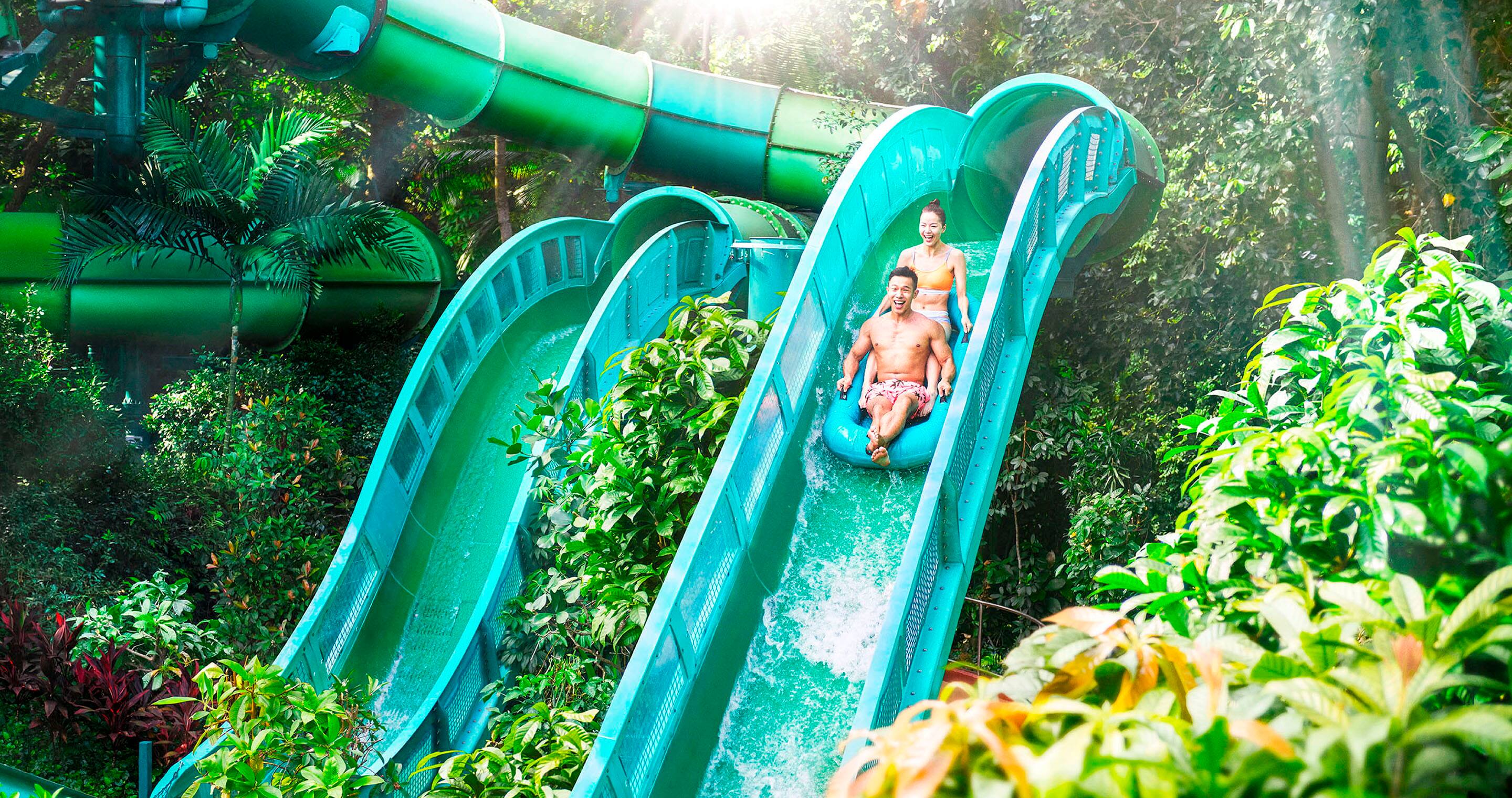 Adventure Cove Waterpark