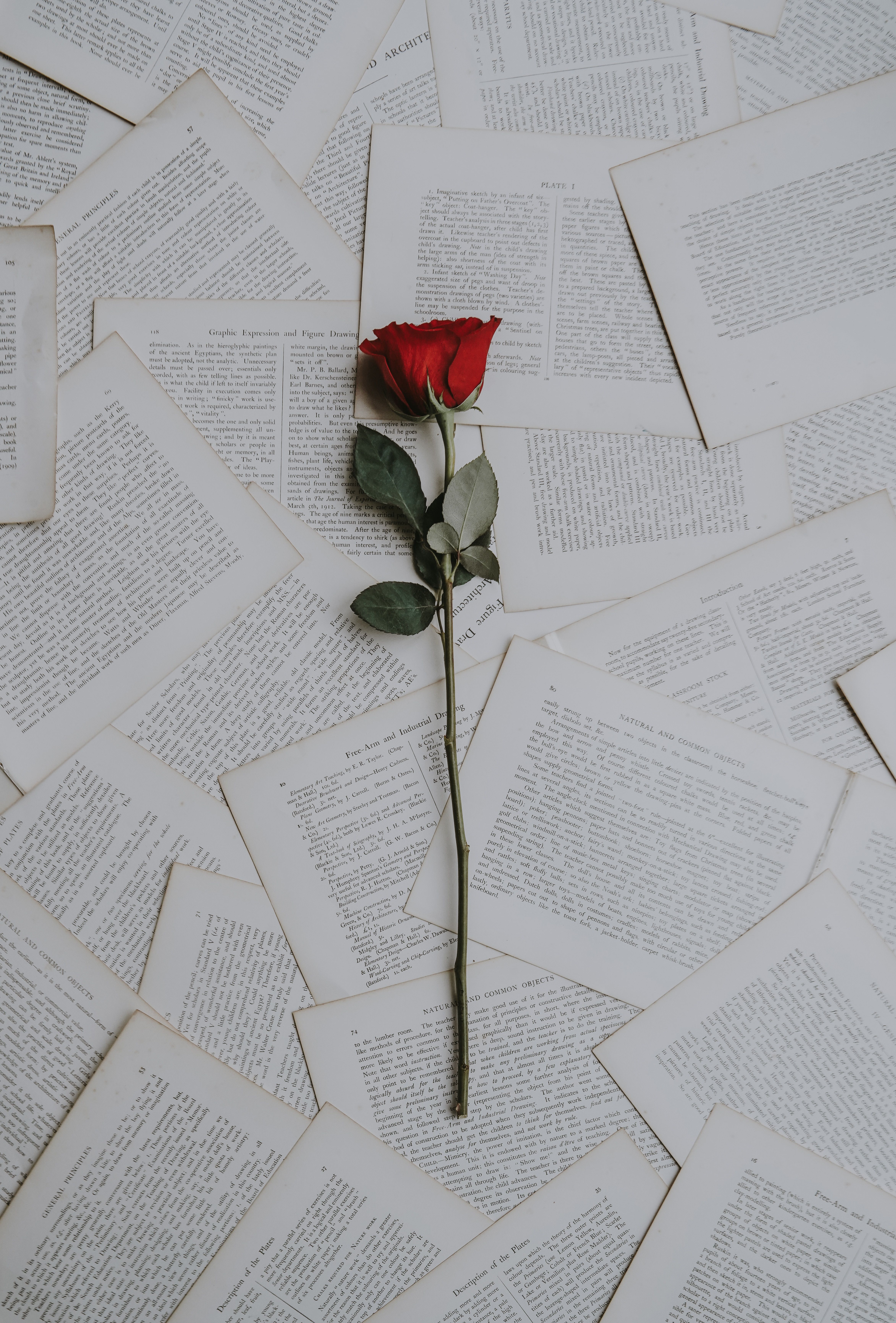 Toxic self love can be very harmful to your mental health. It can give rise to loneliness and depression.