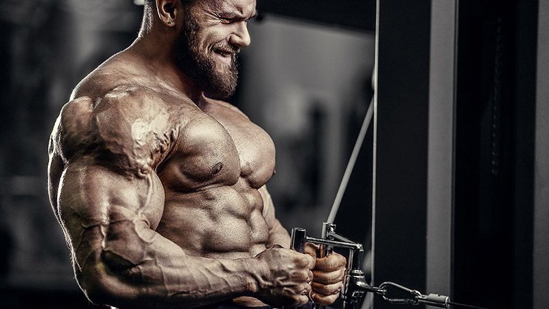 Sarms Online Canada