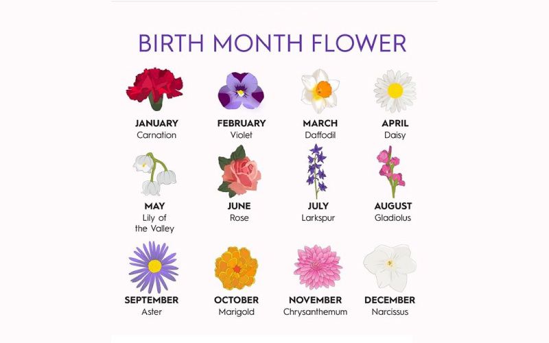 November Birth Flower  Hallelula Prints