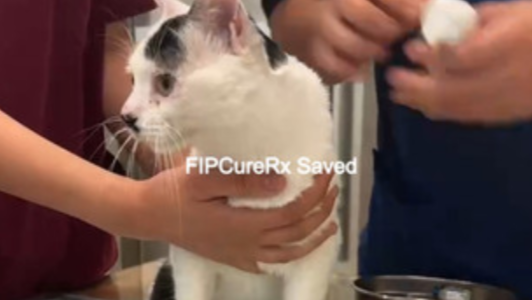 fipcurerx