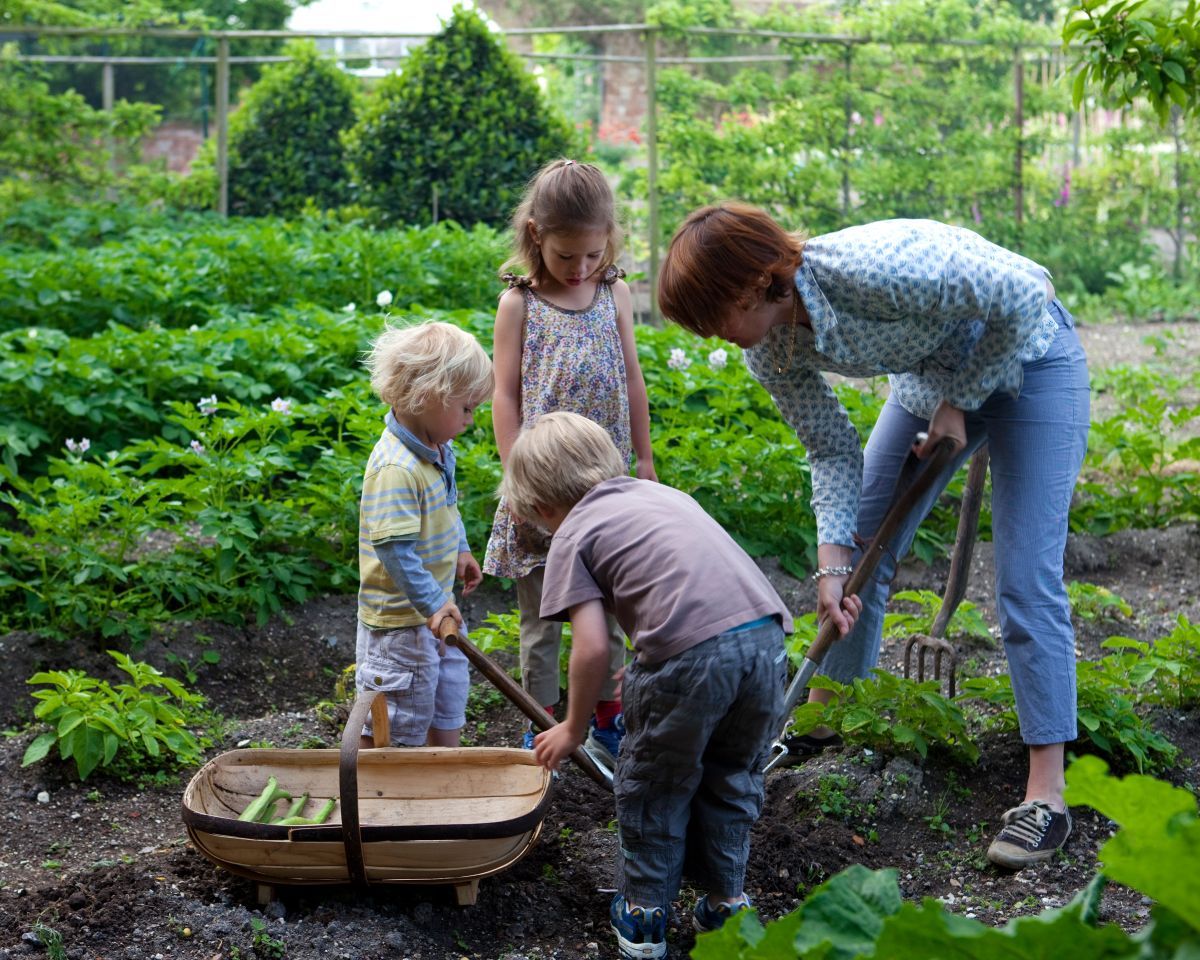 The Health Benefits of Garden Landscaping: Enhancing Well-being Through Nature's Beauty
