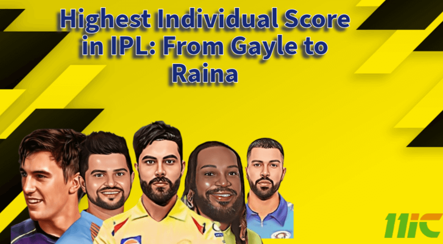 highest individual score in ipl