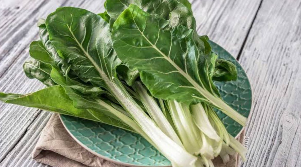 Swiss Chard