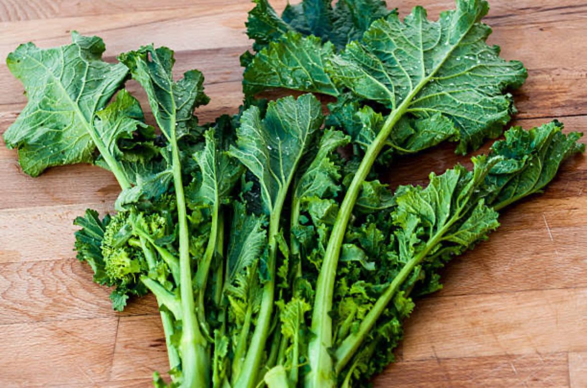 Turnip Green
