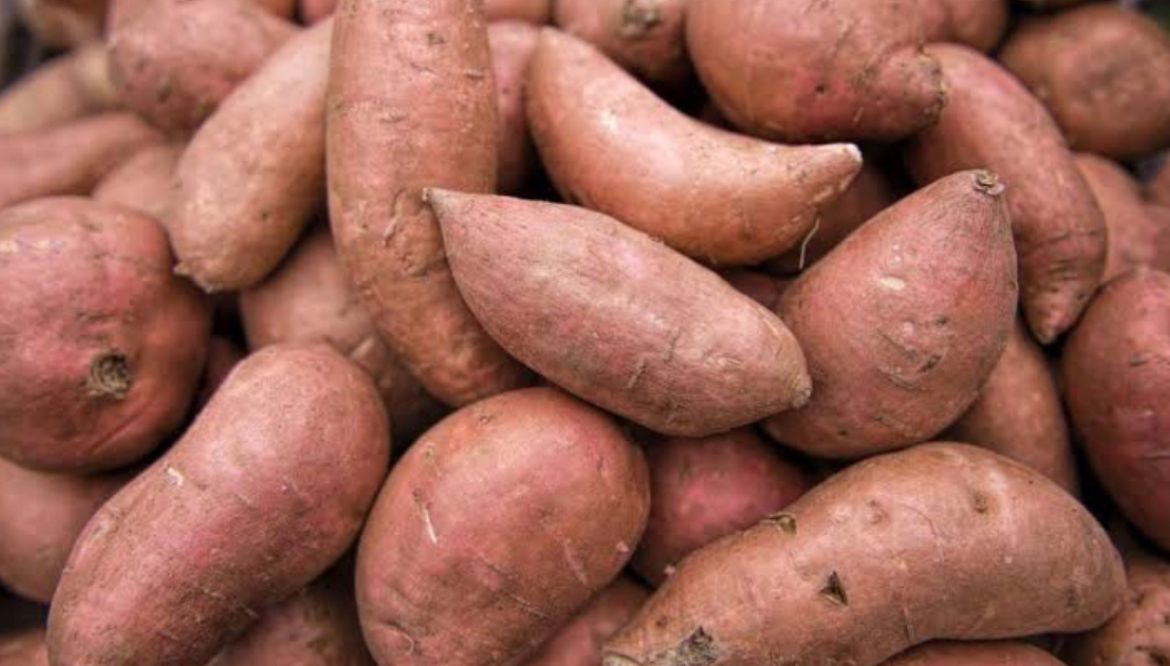 Sweet Potatoes