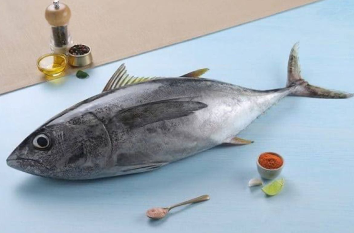 Tuna