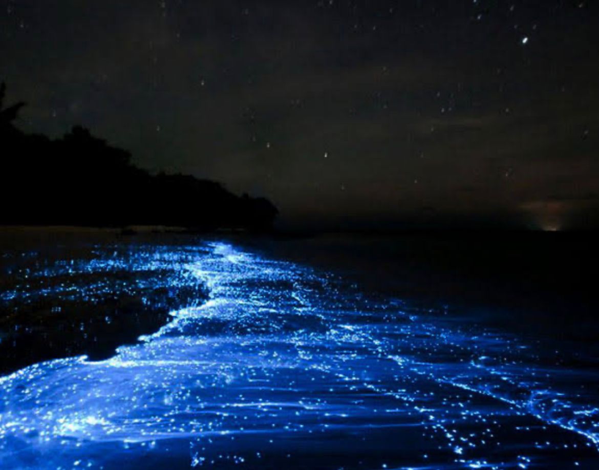 Betalbatim Beach