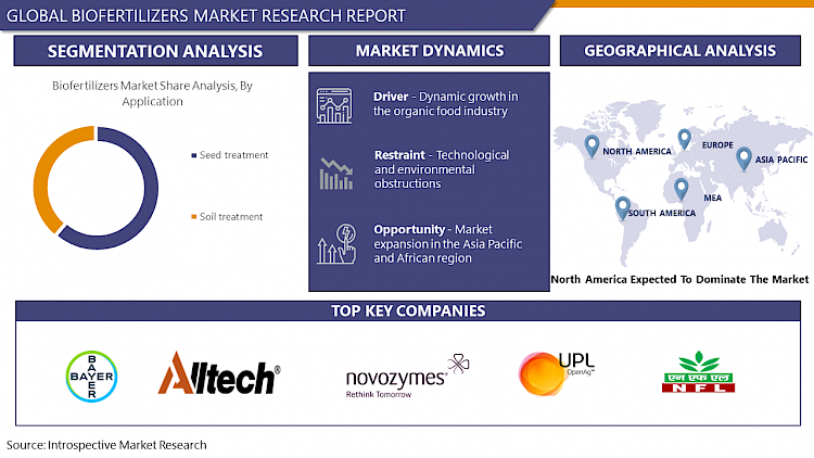 Biofertilizers Global Industry Analysis