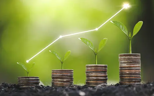 equity shares and investments