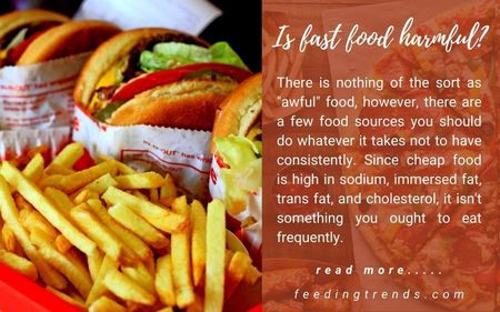 Fast Food And Its Consequences That All Of Us Must Know