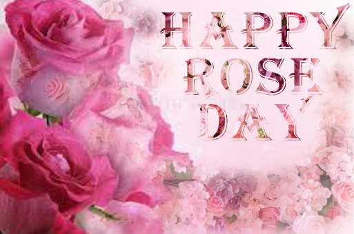Happy Rose Day 2022 Wishes Images Quotes Messages and WhatsApp  Greetings to Share With Your Boyfriend and Girlfriend  News18