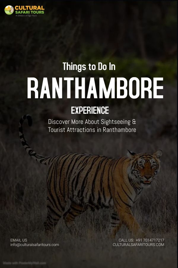 10 Best Things to Do in Ranthambore National Park