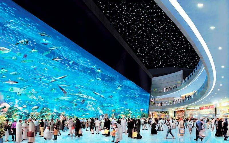 Inside the Dubai Mall Aquarium: A Deep Dive into Its Fascinating Marine Ecosystem