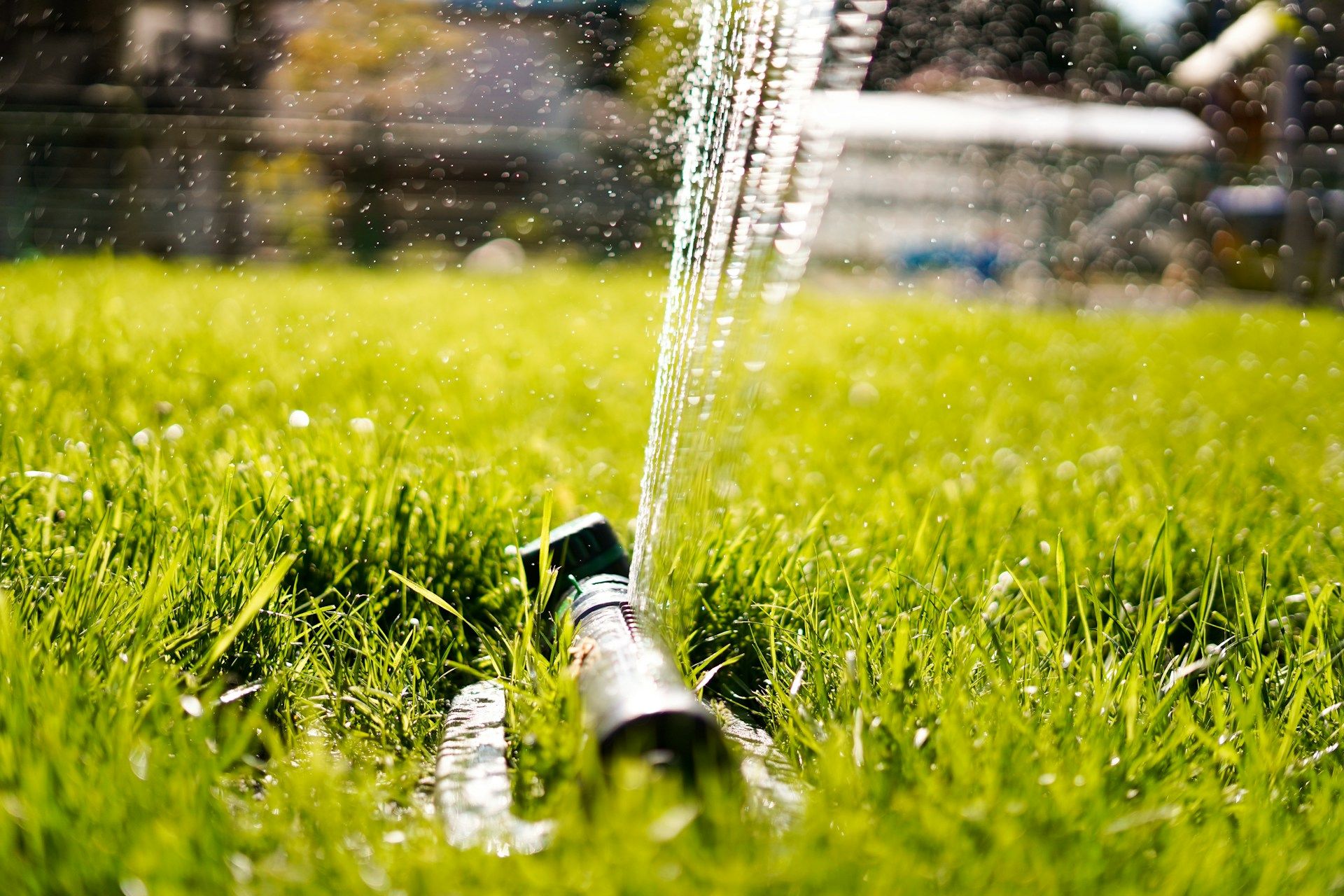 How to Fix Sprinkler Systems Damaged by Tree Roots
