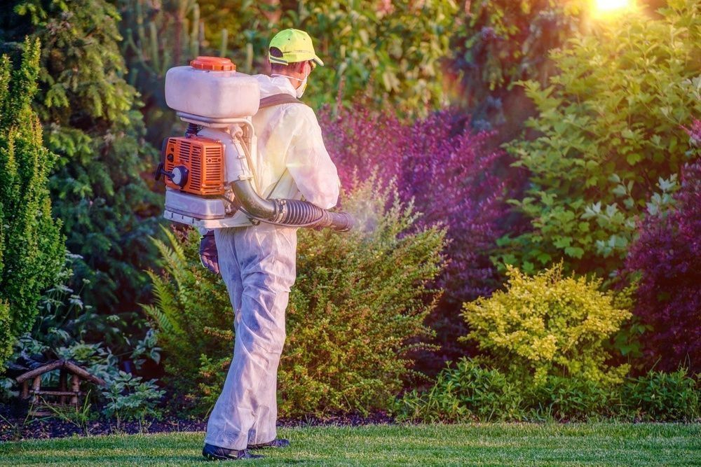 4 Best Pest Control Companies in Melbourne