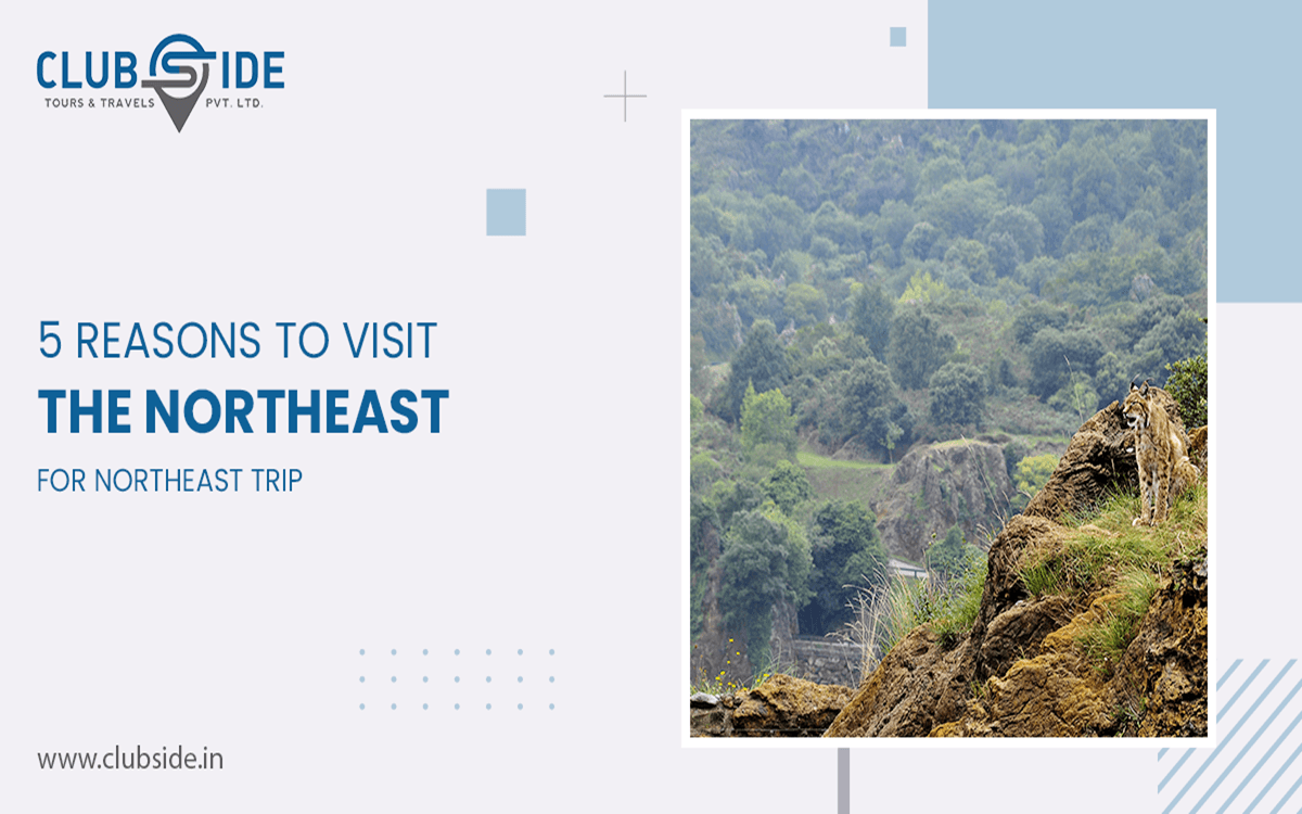 5 Reasons to Visit the Northeast