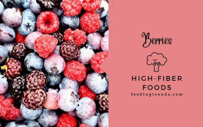 19 Top High-Fiber Foods To Add To Your Diet
