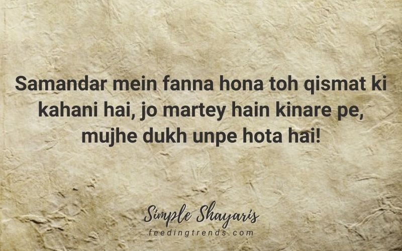 25 Simple Shayaris Which You Can Learn And Use In Various Situations