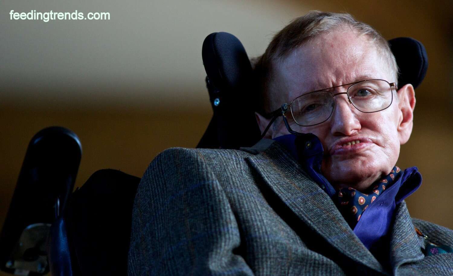 Stephen Hawking'S Story Of Becoming A Scientist