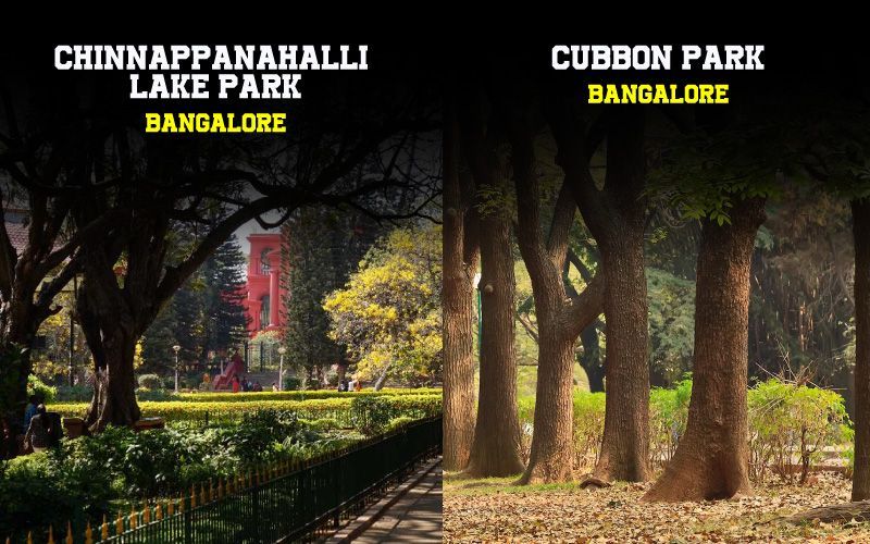 29 Parks Garden in Bangalore For Experience of Greenery, Nature and Wildlife
