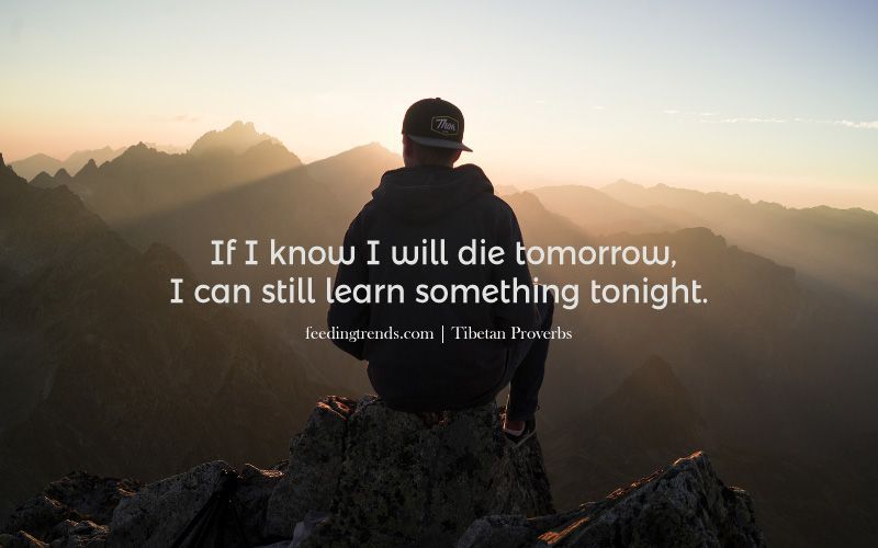 40 Tibetan Proverbs To Quench Your Thirst For Knowledge And Wisdom
