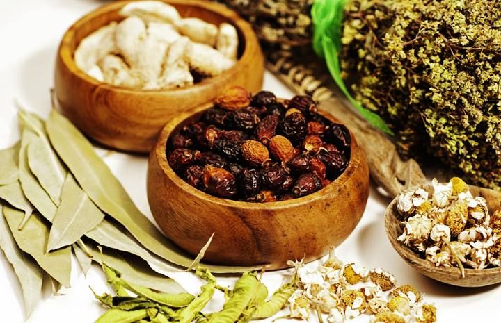 What’s Everything You Need to Know About Procidentia?