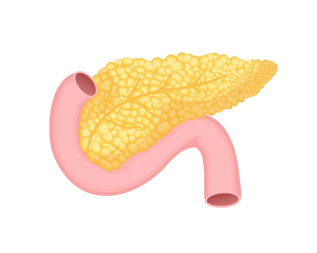 Pancreatic Cancer Treatment Market to Reach Us$ 4.2 Billion