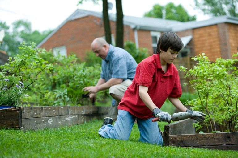 Gardening Tips: Fertilizer Basics