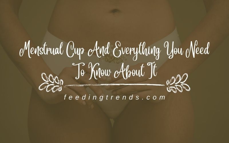 Menstrual Cup And Everything You Need To Know About It