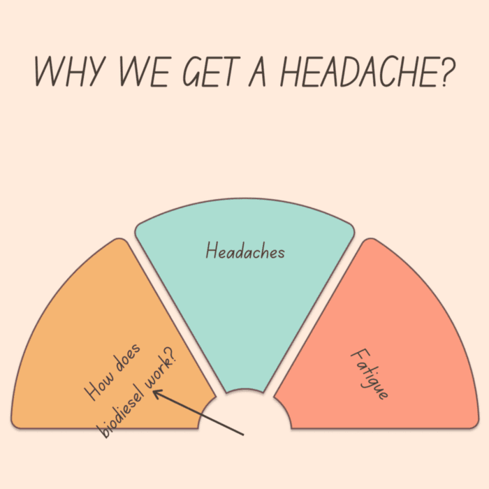 What Are The Causes Of Headaches? 