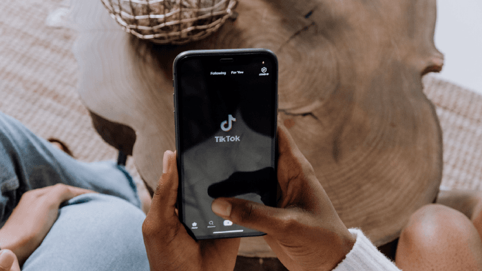 How to Make Money From TikTok In 2022 (5 Best Strategies)