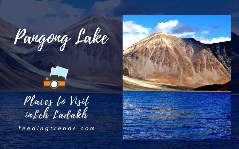 52 Places To Visit In Leh Ladakh To Explore The Unbelievable Adventure