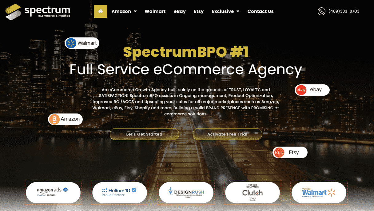 Hire a Professional Amazon Seller Consultant to Elevate Your Business